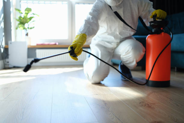 Best Residential Pest Control  in Muenster, TX
