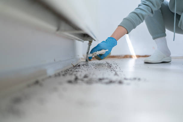  Muenster, TX Pest Control Pros
